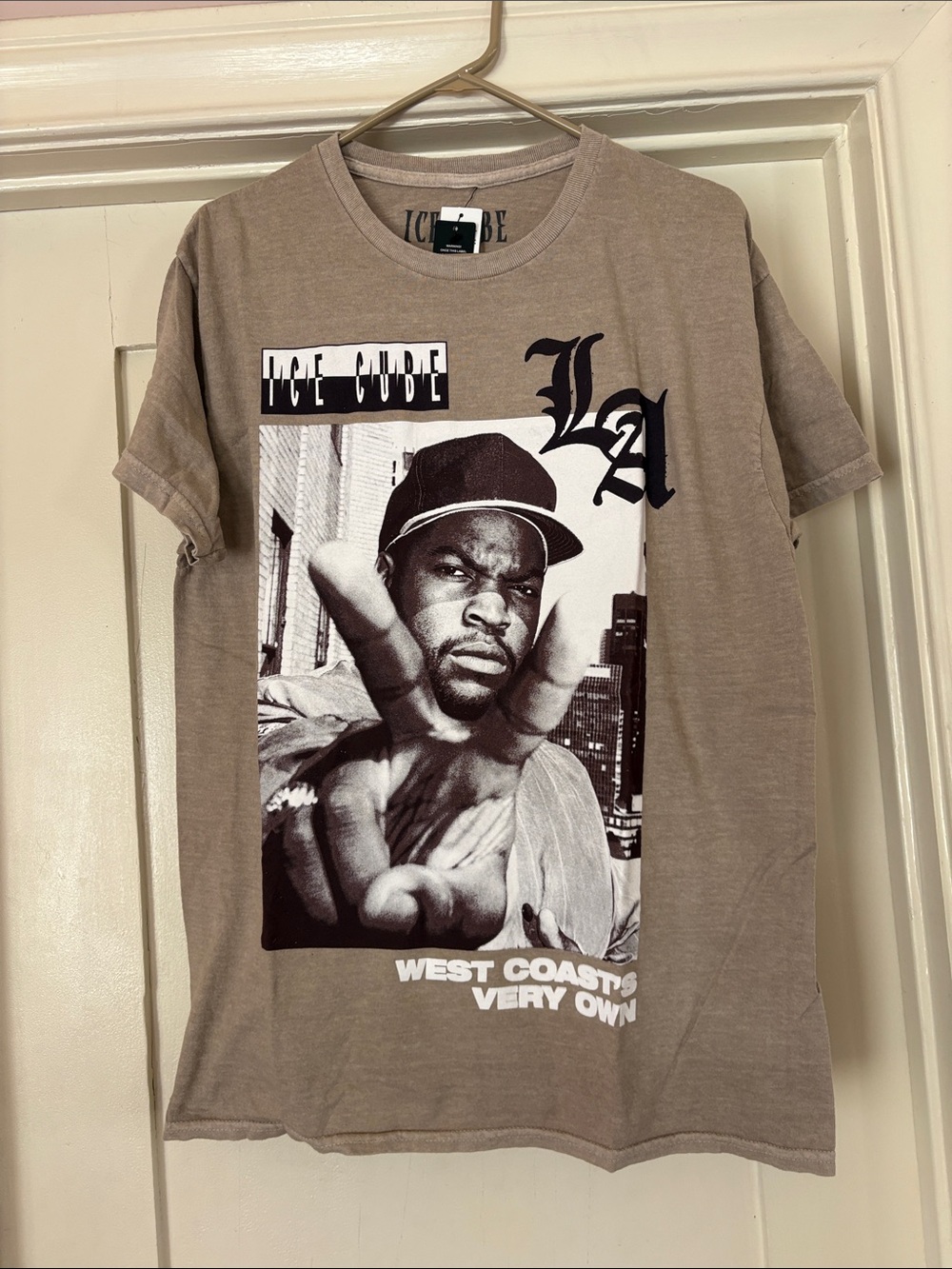 Ice Cube Graphic Crew Tee in Taupe